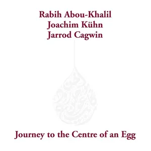 Journey to the centre of an egg